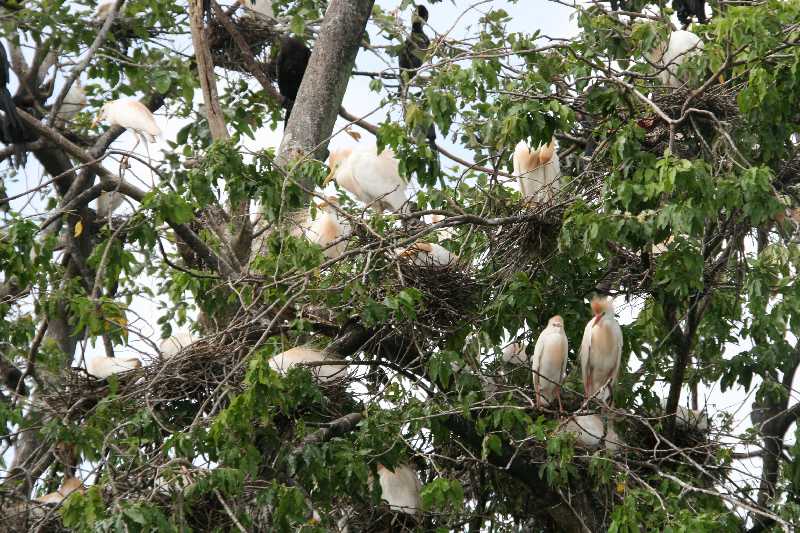 Mexico & Guatemala 2010 - 0929